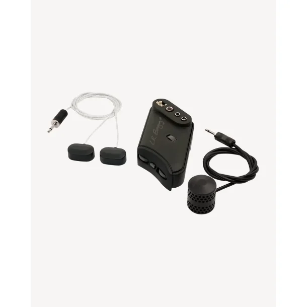 L.R. Baggs HiFi Duet
